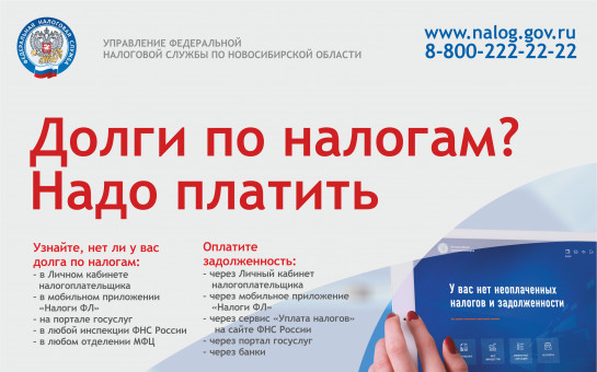 ДОЛГИ ПО НАЛОГАМ? НАДО ПЛАТИТЬ!