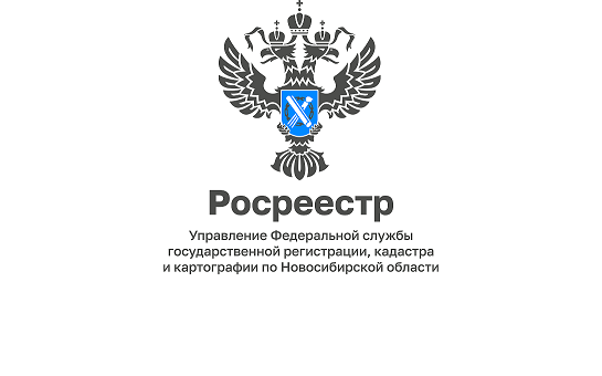 Материалы Управления Росреестра и филиала ППК «Роскадастр» по Новосибирской области.