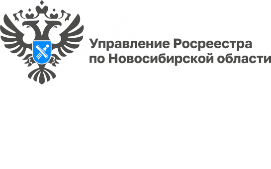 Материал Управления Росреестра по Новосибирской области.